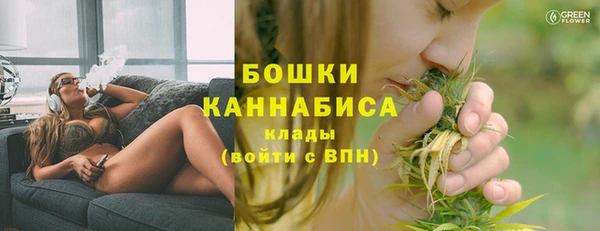 ГАЛЛЮЦИНОГЕННЫЕ ГРИБЫ Киреевск