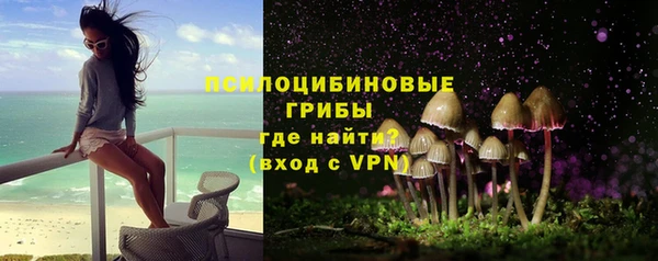 ГАЛЛЮЦИНОГЕННЫЕ ГРИБЫ Киреевск
