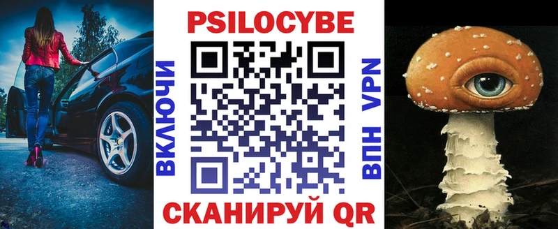 Купить закладки  Демидов  Псилоцибиновые грибы Cubensis 